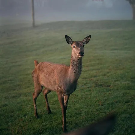 Jaegerhof ****s Isny im Allgäu