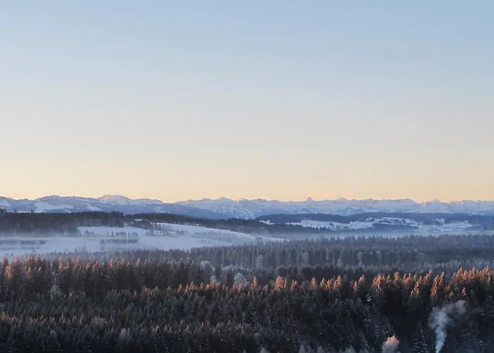 ベルクホテル イェガーホフ ****s ホテル 4*